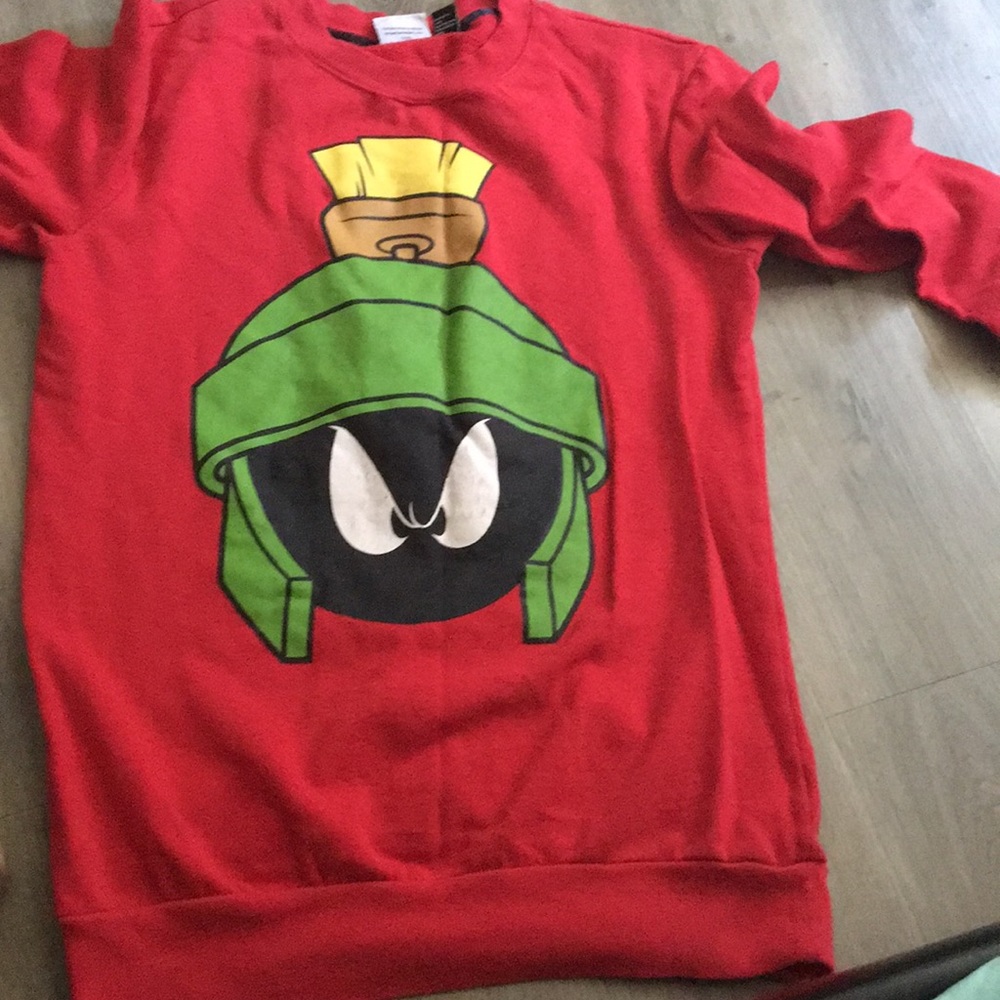 A Loony Tunes Sweatshirt